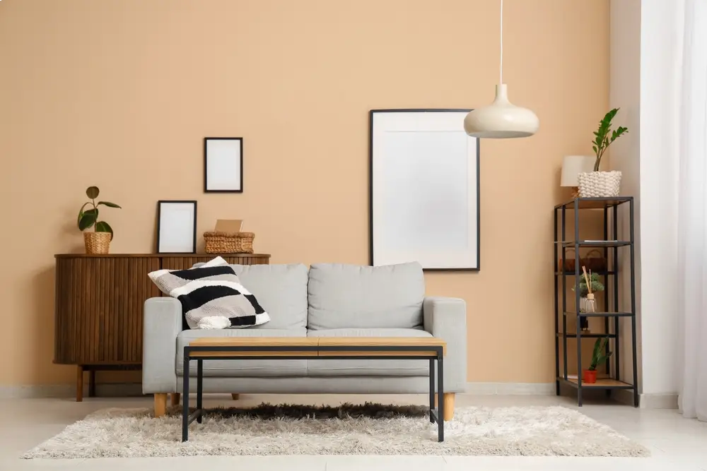 Conseils en décoration d’intérieur