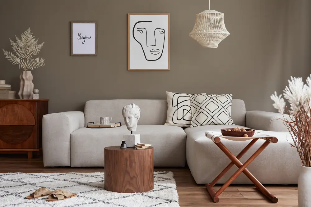 mobilier salon